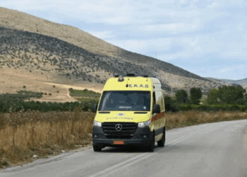 Σοκ στη Φθιώτιδα: 50χρονος έχασε τη ζωή του από τσίμπημα μέλισσας