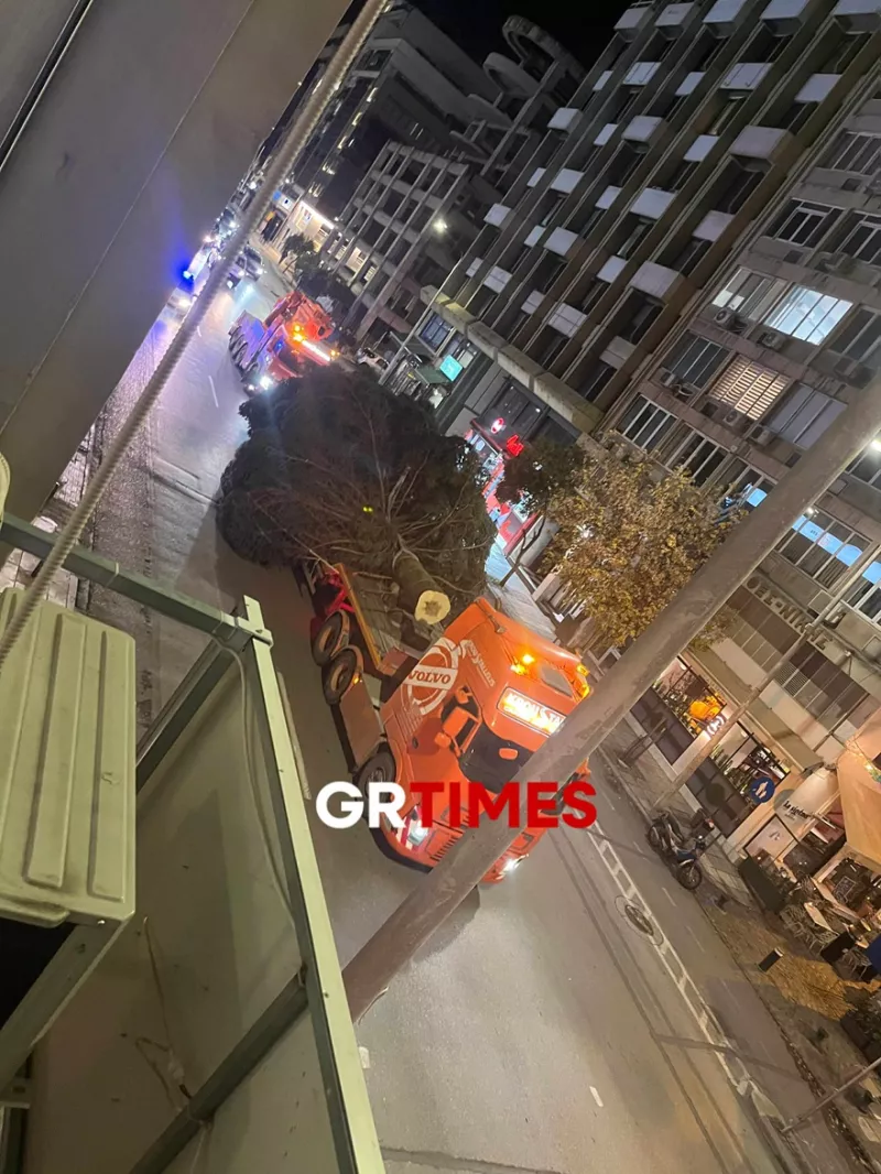 Δέντρο στη Θεσσαλονίκη