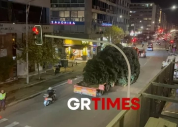 Θεσσαλονίκη: Έφτασε το Χριστουγεννιάτικο έλατο, ύψους 18 μέτρων, στην Πλατεία Αριστοτέλους