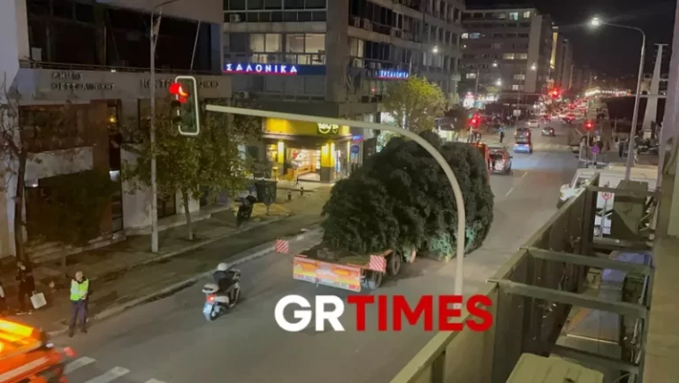 Δέντρο στη Θεσσαλονίκη