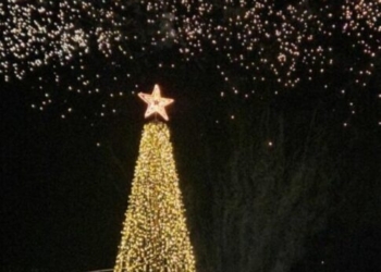 Την Τετάρτη 3 Δεκεμβρίου η φωταγώγηση του Χριστουγεννιάτικου Δέντρου του Δήμου Μαλεβιζίου