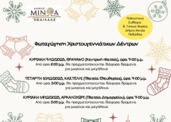 Το πρόγραμμα της φωταγώγησης των χριστουγεννιάτικων δέντρων σε Θραψανό, Καστέλλι και Αρκαλοχώρι