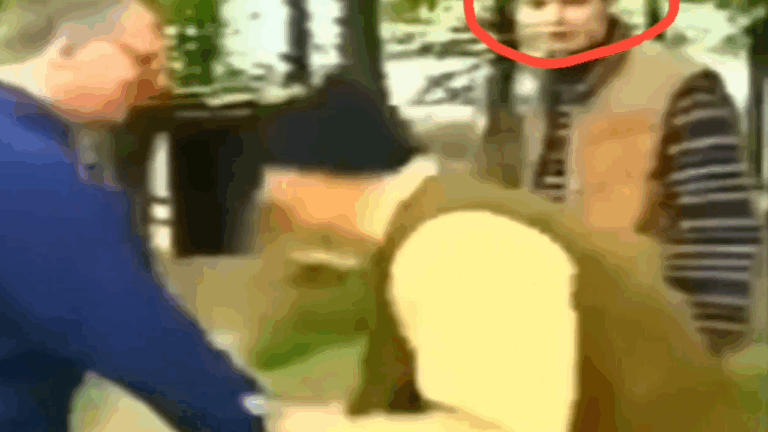 Βίντεο και φωτό φέρεται να δείχνουν τον Βούτσιτς σε «ανθρώπινο σαφάρι» στο Σαράγεβο - Διαψεύδει ο Σέρβος πρόεδρος