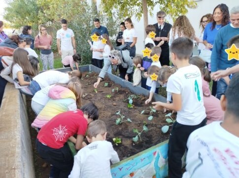 «Βιώσιμες Βιβλιοθήκες»: Έτοιμος ο λαχανόκηπος στην Παιδική – Εφηβική Βιβλιοθήκη Σούδας