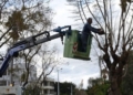 Xανιά: Οι εργασίες κλαδέματος φέρνουν κυκλοφοριακές ρυθμίσεις