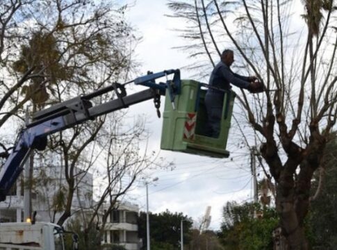 Xανιά: Οι εργασίες κλαδέματος φέρνουν κυκλοφοριακές ρυθμίσεις