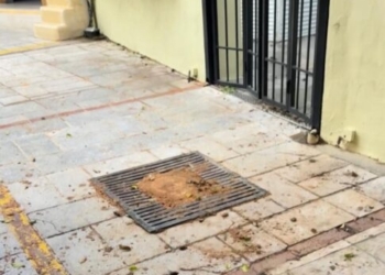 Απομακρύνθηκε το δέντρο που έπεσε στο κέντρο του Ηρακλείου – Βίντεο & φωτογραφίες