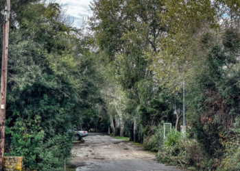 Φοινικούντα: Συνελήφθησαν ο ανιψιός του ιδιοκτήτη του κάμπινγκ και ο επιχειρηματίας φίλος του