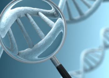 Γενετικοί έλεγχοι και αριθμός απογόνων ανά δότη- Ο κίνδυνος γενετικών παθήσεων