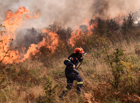 Η «κόκκινη» Κρήτη και ο νέος χάρτης εκτίμησης κινδύνου πυρκαγιών