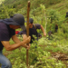 Η Κολομβία ξεκινά ψεκασμούς σε φυτείες κόκας υπό την πίεση των ΗΠΑ - Αντιδράσεις για την καρκινογόνο επίδραση του ζιζανιοκτόνου