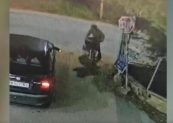 Ηράκλειο: Σκύλος έγινε «ασπίδα» για να σώσει το αφεντικό της από τροχαίο – Βίντεο