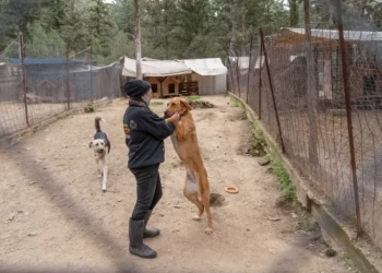 Kaizen Gaming: H κοινωνική προσφορά είναι μέρος μιας κουλτούρας που χτίζεται καθημερινά