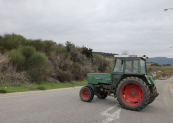 Λαμία: Συνελήφθη αγρότισσα που προέτρεπε σε βία μέσω βίντεο στο Tik Tok