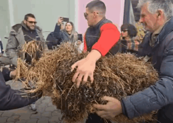 Με τρακτέρ στο κέντρο των Τρικάλων οι αγρότες - Πέταξαν σανό στο γραφείο του Σκρέκα (Βίντεο)