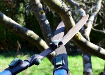 Μεσαρά: Ανέβηκε στη μουρνιά και έπεσε στο κενό!