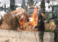 Νέο μπλόκο των αγροτών στις Μικροθήβες: Έχυσαν γάλατα στον δρόμο, έκαψαν άχυρα