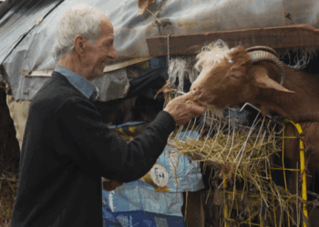 Πήλιο: Όταν ο αγώνας για επιβίωση γίνεται ακόμη πιο σκληρός