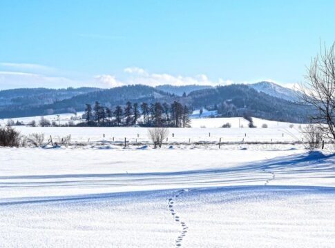 Πού και πότε θα χιονίσει στην Κρήτη – Τι δείχνουν οι χάρτες του Meteo