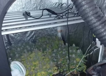 Συνελήφθησαν 3 άτομα για διακίνηση ναρκωτικών: Ανάμεσά τους ένας Υπαρχιπυροσβέστης - Ο τιμοκατάλογος