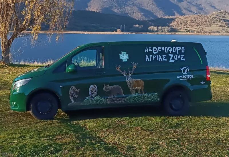 Το ασθενοφορο αγριων θηλαστικών