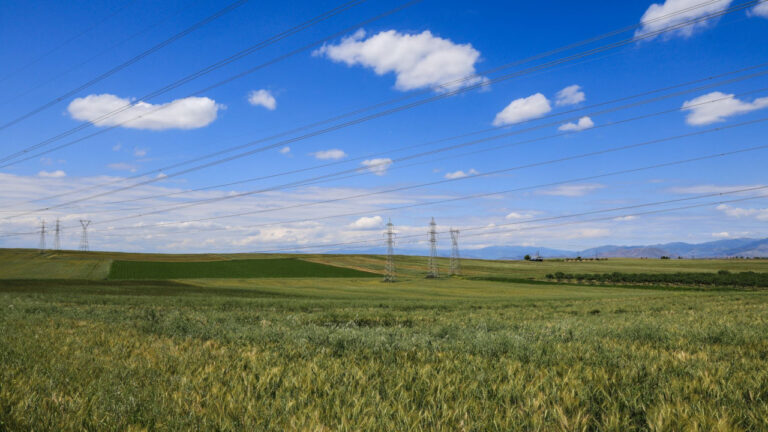 ΥΠΑΑΤ: 96 εκατ. ευρώ για τη μείωση του αποτυπώματος άνθρακα σε αρόσιμες καλλιέργειες