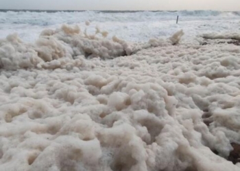 Άφρισε η θάλασσα σε παραλία της Κρήτης μετά την κακοκαιρία – Βίντεο