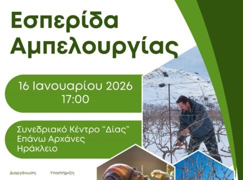 Απόψε η εσπερίδα για την αμπελουργία από το Δίκτυο Οινοποιών και την Περιφέρεια