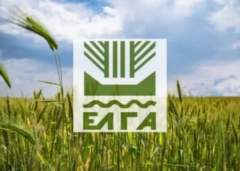 Χανιά: Αναγγελία απο τον ΕΛΓΑ για ζημιά από ανεμοθύελλα – Μέχρι 26/1 οι δηλώσεις