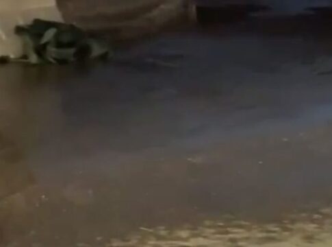 Χανιά: Ξεχείλισαν φρεάτια στη Νέα Χώρα – Τα λύματα έφτασαν μέχρι τη θάλασσα