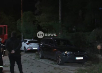 Χολαργός: Έπεσε δέντρο στη Μεσογείων – Ζημιές σε σταθμευμένο αυτοκίνητο
