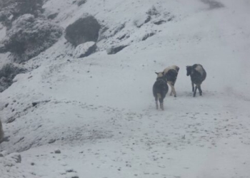 Δήμος Βιάννου: Μέτρα και συστάσεις λόγω του χιονιά