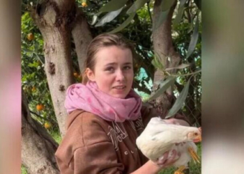 «Είμαστε εδώ για να σε ακούσουμε»- Το «Χαμόγελο του Παιδιού» απευθύνει έκκληση στη 16χρονη Λόρα να επικοινωνήσει