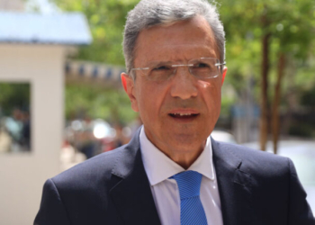 Ερώτηση Αυτιά σε Κομισιόν: «Θα ολοκληρωθεί η χρηματοδότηση του φράχτη στον Έβρο;»