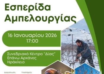 Εσπερίδα για την αμπελουργία οργανώνει το Δίκτυο Οινοποιών Κρήτης