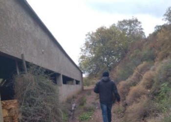 Εξαφάνιση Αλέξη Τσικόπουλου: «Σάρωσαν» εγκαταλελειμμένα σπίτια και ποιμνιοστάσια στο Ρέθυμνο οι εθελοντές