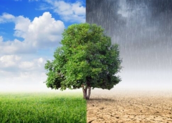 Καιρική ανασκόπηση: Οι πιο ζεστές και οι πιο ψυχρές περιοχές το 2025 – Ποιες είναι στην Κρήτη