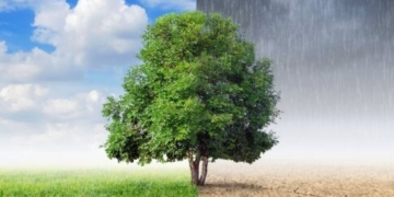 Καιρική ανασκόπηση: Οι πιο ζεστές και οι πιο ψυχρές περιοχές το 2025 – Ποιες είναι στην Κρήτη