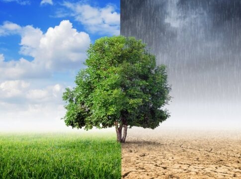 Καιρική ανασκόπηση: Οι πιο ζεστές και οι πιο ψυχρές περιοχές το 2025 – Ποιες είναι στην Κρήτη