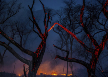 «Κατάσταση έκτακτης ανάγκης λόγω πυρκαγιών» στην αργεντίνικη Παταγονία