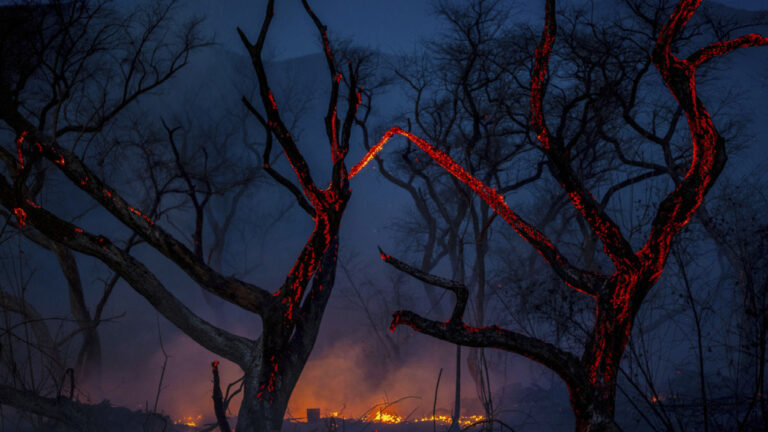 «Κατάσταση έκτακτης ανάγκης λόγω πυρκαγιών» στην αργεντίνικη Παταγονία