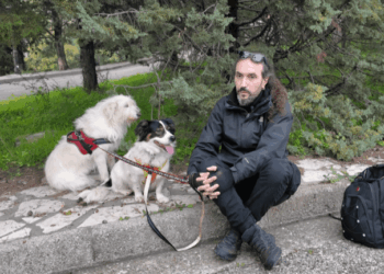 Κτηνωδία στο Αγρίνιο: Γάτες και σκύλοι ζούσαν κλειδαμπαρωμένα χωρίς τροφή και νερό σε σπίτι