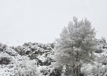 «Μαγεύουν» οι εικόνες από τα χιονισμένα ορεινά της Κρήτης – Έρχεται απόλυτη ανατροπή με τον καιρό