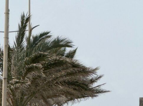 «Μας πήρε και μας σήκωσε» – Θυελλώδεις άνεμοι και σκόνη στην Κρήτη!