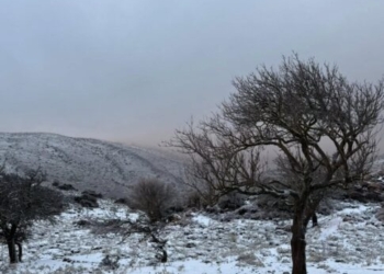 Mετά το «τσουχτερό» κρύο στην Κρήτη και τα χιόνια στα ορεινά, έρχονται… 20αρια!