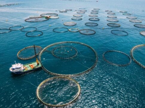 «Μεταποίηση Προϊόντων Αλιείας και Υδατοκαλλιέργειας»: Ενισχύσεις από 200.000 έως 6.000.000 ευρώ