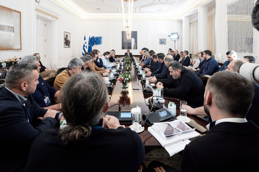 agrotes-mitsotakis__6_