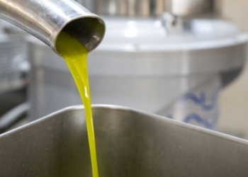 Ρέθυμνο: Παιδιά και γονείς μαθαίνουν για το εξαιρετικά παρθένο ελαιόλαδο