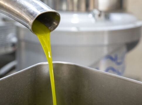 Ρέθυμνο: Παιδιά και γονείς μαθαίνουν για το εξαιρετικά παρθένο ελαιόλαδο