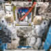 Σε «καραντίνα» αστροναύτης της NASA στον Διεθνή Διαστημικό Σταθμό – Σχέδιο εσπευσμένης επιστροφής του πληρώματος